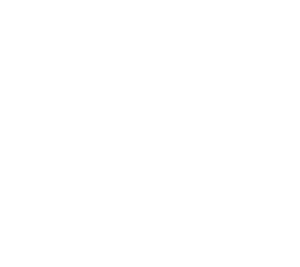 Octofox AI Logo